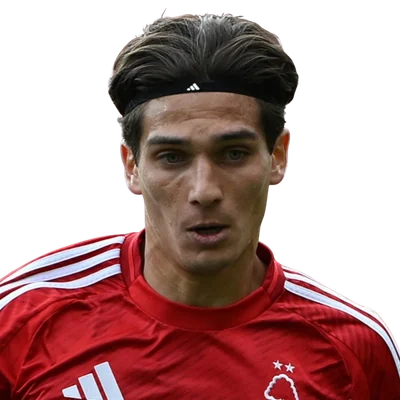 Nicolás Domínguez