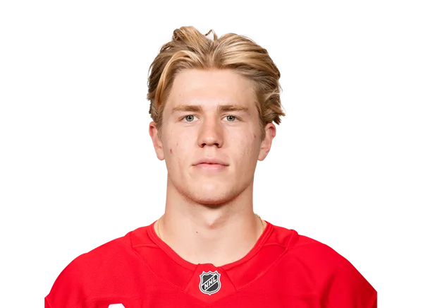Michael Brandsegg-Nygard