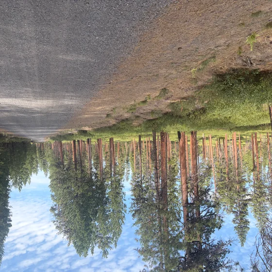 Oregon Trail Gravel: Four Decisions over Five Days [Part 2]