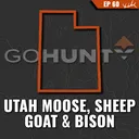 Utah Moose, Sheep, Goat & Bison