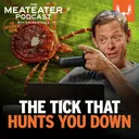 Ep. 908: The Lone Star Tick and Alpha Gal Syndrome