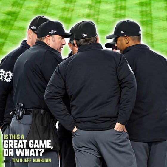 Umpires At Yankee Stadium KNEW This Would Happen