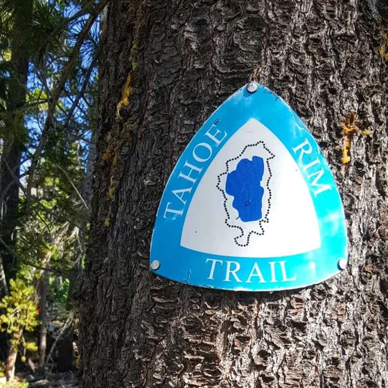 Tahoe Rim Trail!