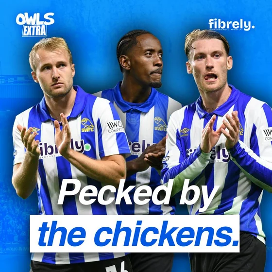 Pecked by the Chickens | The Debrief | Owls Extra