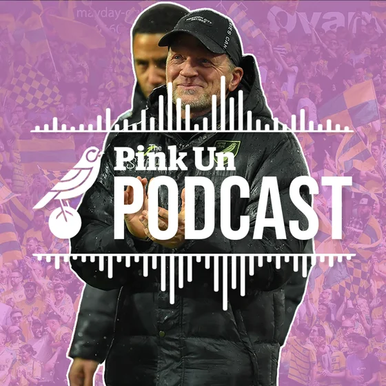 #681 Stephan Van Der Heyden Interview 🎤 | Pink Un Norwich City Podcast