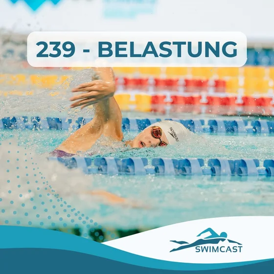 239 - Belastung