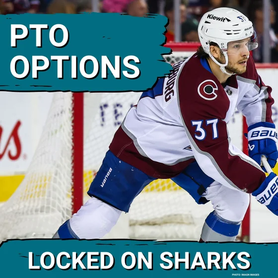 PTO OPTIONS: Should the San Jose Sharks SIGN Nick Blankenberg for Defense Depth?