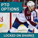 PTO OPTIONS: Should the San Jose Sharks SIGN Nick Blankenberg for Defense Depth?