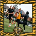 The Great Autumn International Break of 2026
