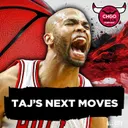 Could Taj Gibson Coaching Mean MORE Old Bulls Returning?! | CHGO Bulls Podcast