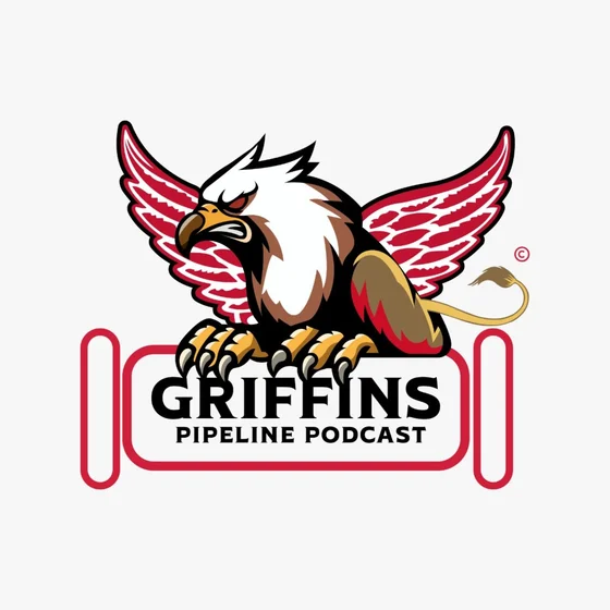 GRAND RAPIDS GRIFFINS ELIMINATED VS CHICAGO WOLVES (GAME 3 & 4) EPISODE #151