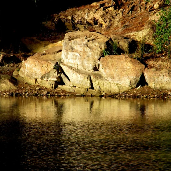 Swimming at Murder Central with Stanley Ulijaszek, in Australia and the UK