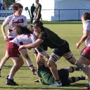 Men's D2 Preview