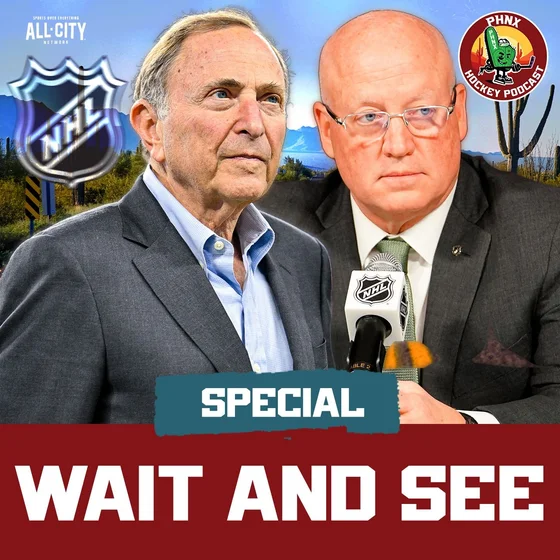 What NHL's "Wait and See" Approach to Expansion Means for Arizona