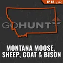 Montana Moose, Sheep, Goat, Bison Application Strategy
