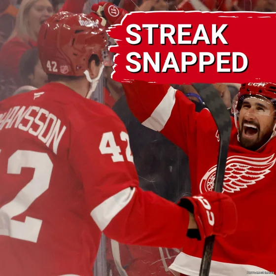 POINT STREAK: Anton Johansson's 1st NHL goal helps turn Detroit's losing streak into a point streak
