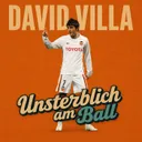 David Villa - Der Stürmer der Spaniens goldene Ära vollendete