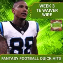URGENT: Panthers’ Darren Waller EMERGES as Fantasy Football’s Top MUST-STASH TE