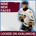 Avalanche Fill Prospect Pool With Nine Draft Picks & Send Ivan Ivan To Boston