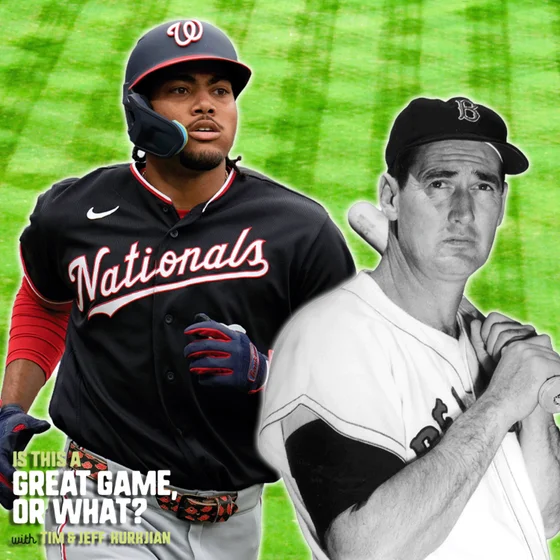 James Wood and Ted Williams, You Won't Believe This Comparison