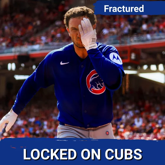 What Would Make the 2026 Chicago Cubs a SUCCESS + Alex Bregman Update