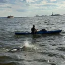Joe Zemaitis' Swim Story