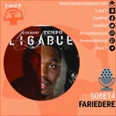 S08E14 | Fariedere