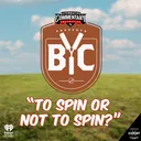 "To Spin Or Not To Spin?"