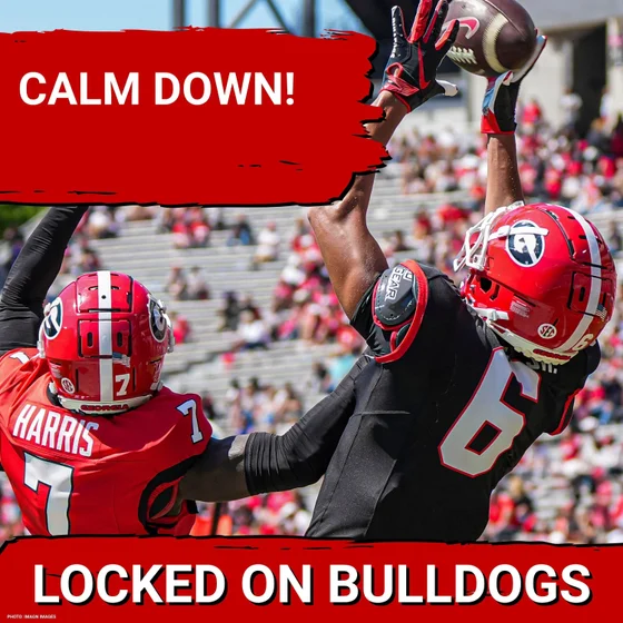CALM DOWN: Why the Georgia Football pass catchers are going to be JUST FINE in 2026!!