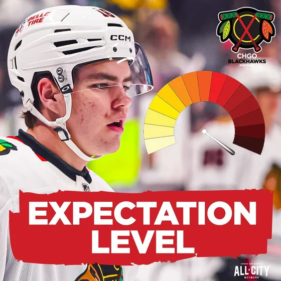 What Should the Chicago Blackhawks EXPECT From Anton Frondell This Season?