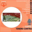 S08E43 | Tenero Contra