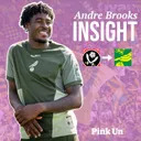INSIGHT: What sort of player have Norwich City signed in Andre Brooks? | The Pink Un