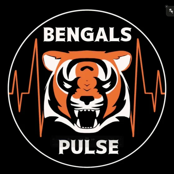 Bengals Pulse Live Steelers Post Game Instant Reactions !!!