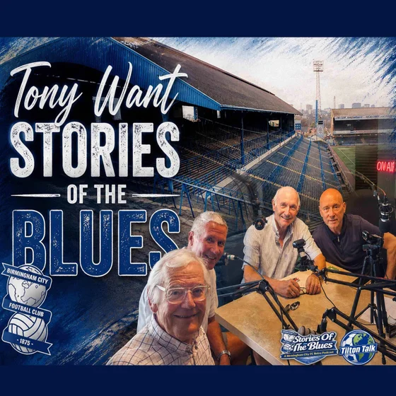 Tony Want-Stories Of The Blues