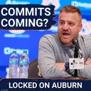 Auburn Tigers Have Insane Momentum Entering Massive Weekend
