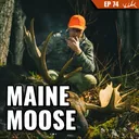 Maine Moose w/ Jacob Haskell