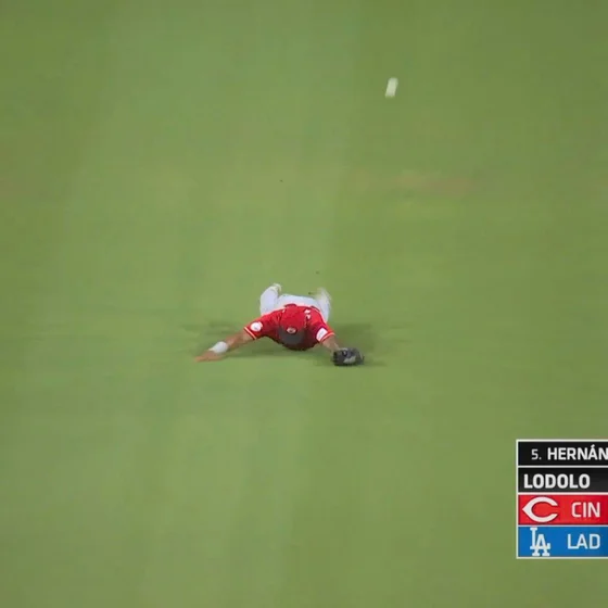 The MLB Playoff Race is Embarrassing Teams