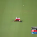 The MLB Playoff Race is Embarrassing Teams