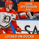 Can the Anaheim Ducks RECOVER From Their Defensive Nightmare This Offseason?