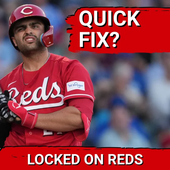 Are the Cincinnati Reds CAPABLE of Playoff Contention Next Year? The Brewers-Rays Blueprint