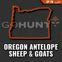 Oregon Antelope, Bighorn Sheep & Mountain Goat Application Guide — Is It Worth It?