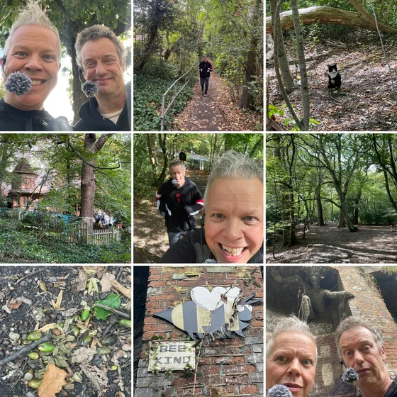 Back To The Woods