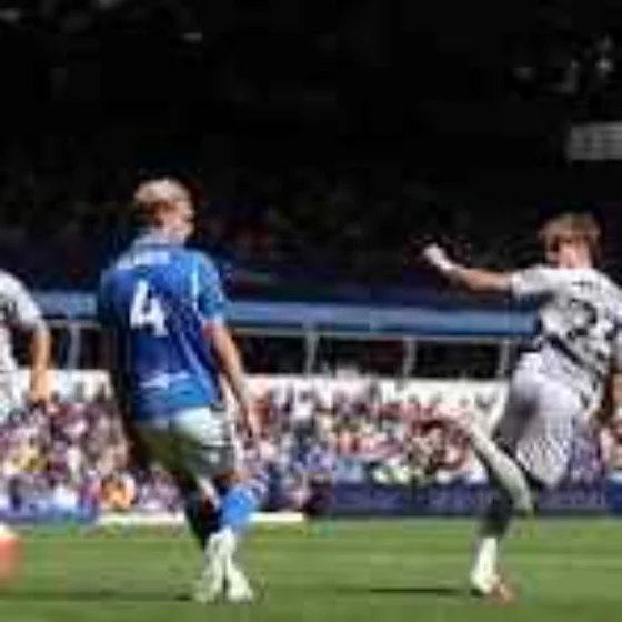 BIRMINGHAM CITY [A] the verdict ...... a marked improvement and a goal to savour