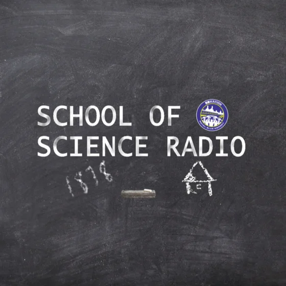 SOS Radio Episode 119 - Everton: Bad At Burnley, Great At Goodison