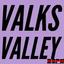 Julie Vanloo is no longer on the Golden State Valkyries, WNBA expansion | Valks Valley