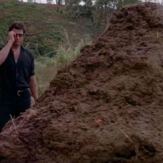 That is one big pile of shit