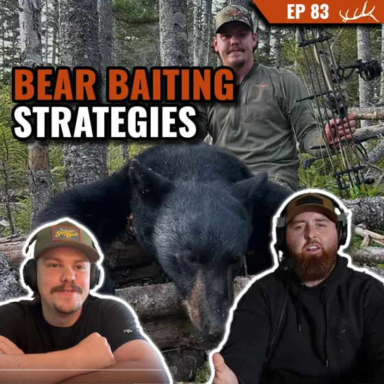 First Time Bear Baiting: The Strategy We're Running This Fall