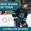Nolan Allan’s Journey to San Jose Sharks—How Young DEFENDERS Shape the Franchise