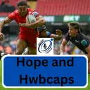 Cardiff Rugby - Hwbcaps and hope