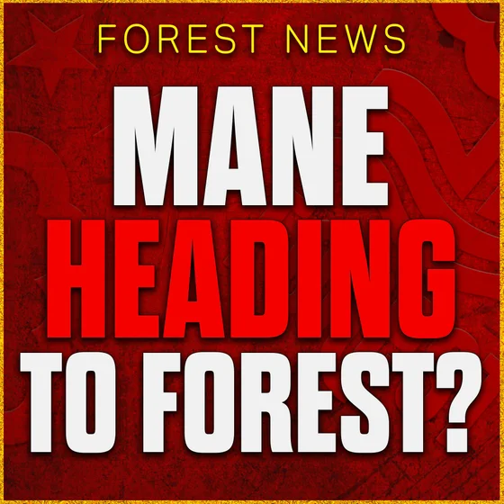 Forest Look To Raid Wolves For Wonderkid Mateus Mané! Hijacking Man Utd & Liverpool?! Transfer News